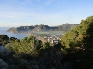IMG_3711 (Medium)